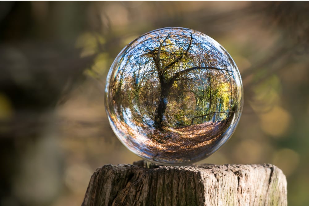Crystal ball reflecting autumn forest scene on weathered wood post.