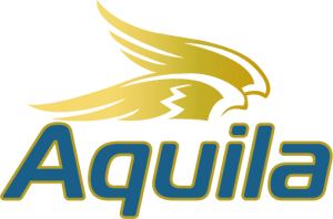 Aquila Business Eminence Awards logo