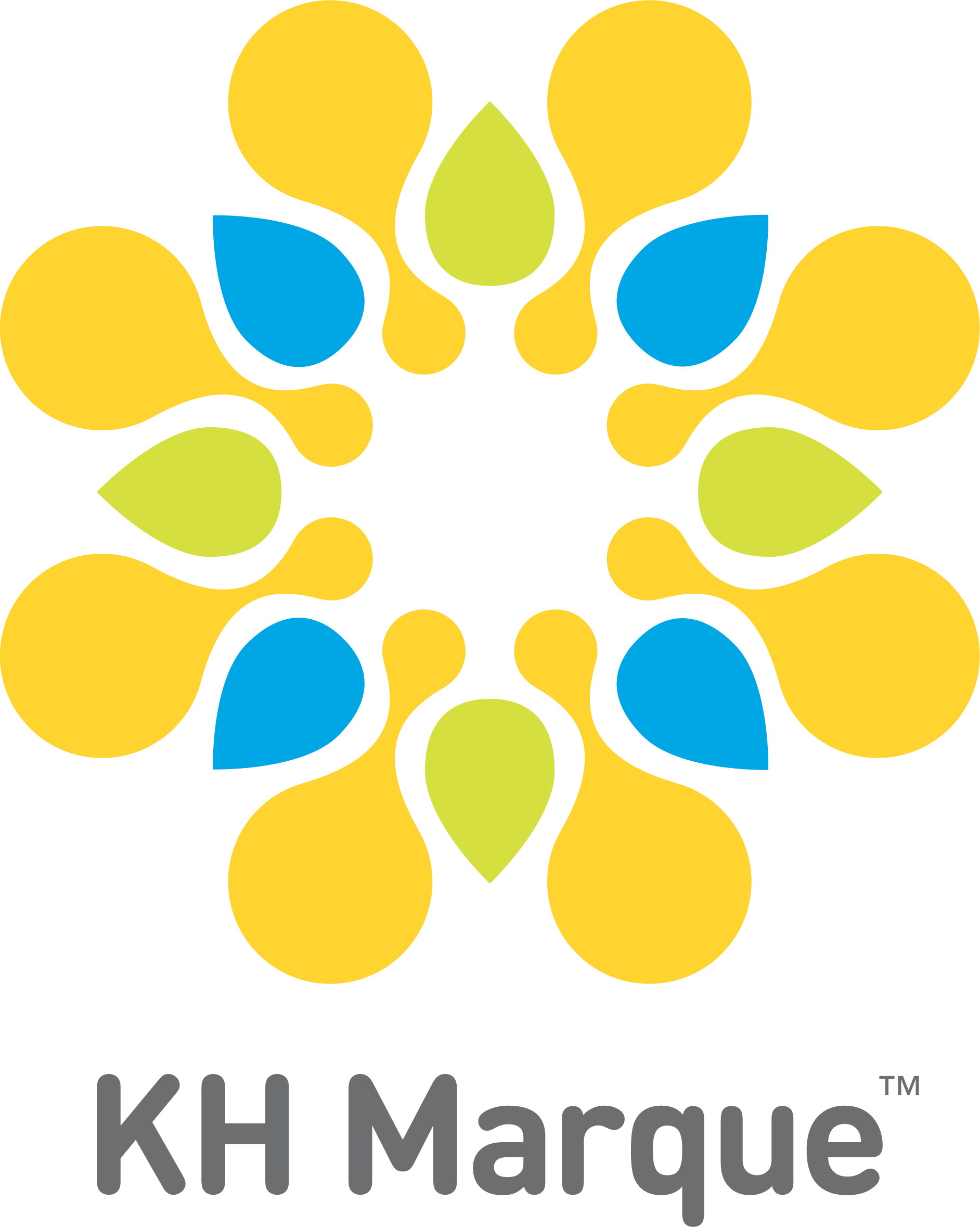 KH Marquee Business Eminence Awards logo