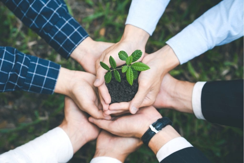 Hands holding a young plant, symbolizing growth and collaboration.